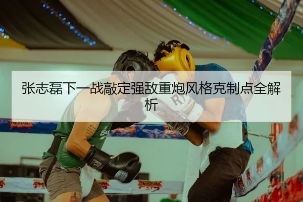 张志磊下一战敲定强敌重炮风格克制点全解析