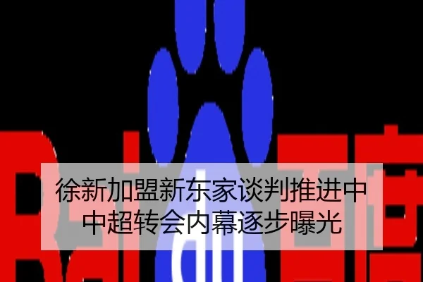 徐新加盟新东家谈判推进中 中超转会内幕逐步曝光